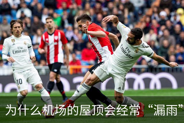 为什么机场的屋顶会经常“漏雨”？用“苔藓”来接漏水也不过是“缓解下旅客心情”而已！