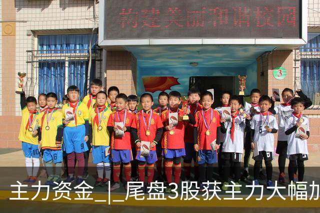主力资金 | 尾盘3股获主力大幅加仓