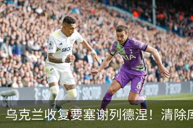 乌克兰收复要塞谢列德涅！清除库皮扬斯克20座俄军阵地