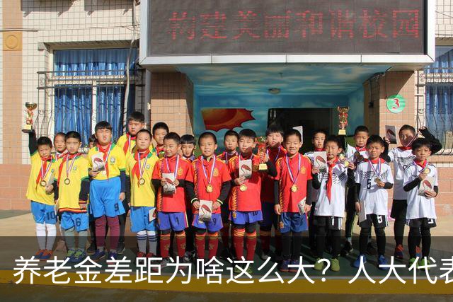 养老金差距为啥这么大？人大代表一句话，说到了无数人心坎里