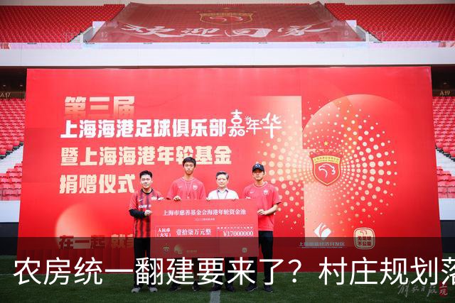 农房统一翻建要来了？村庄规划落地，这些地方下半年优先动工