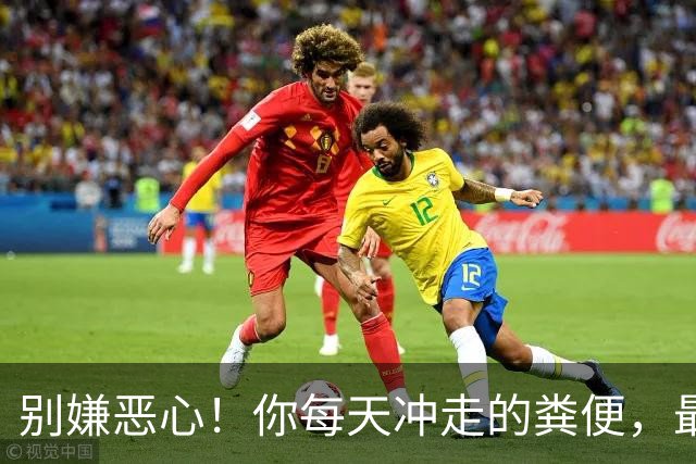 别嫌恶心！你每天冲走的粪便，最后竟全藏进城市这些秘密角落里！