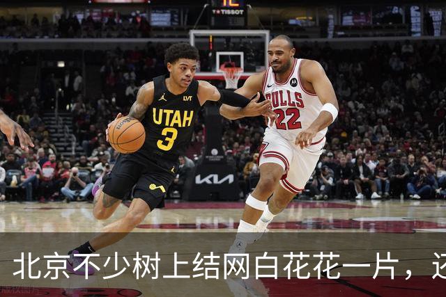 北京不少树上结网白花花一片，还往下掉！今年它的“存在感”怎么这么强？