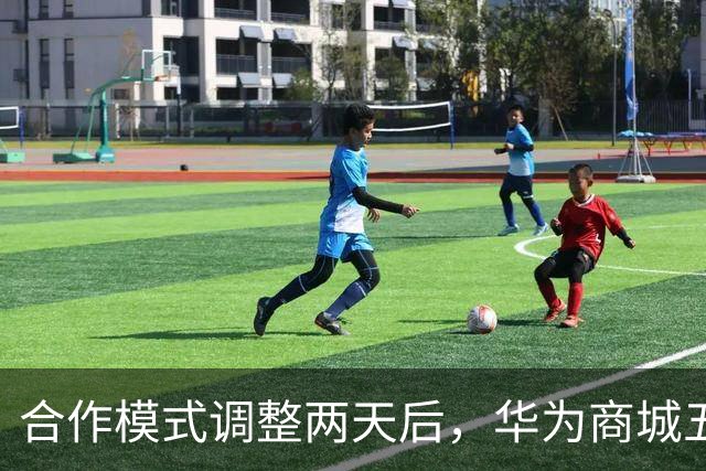 合作模式调整两天后，华为商城"五界"重新排序：问界被移至最后一位