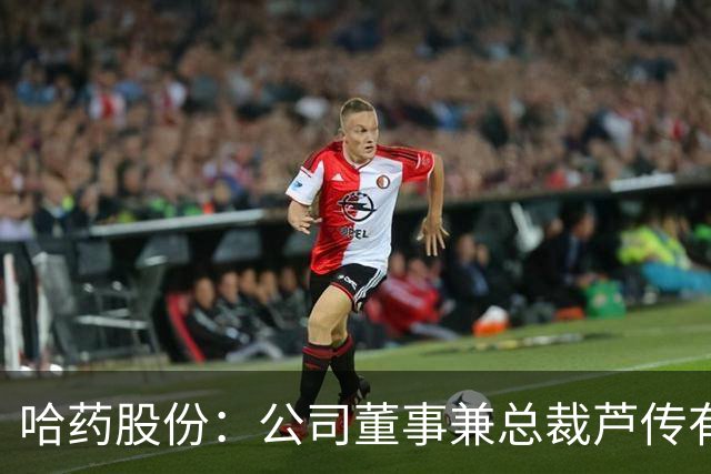 哈药股份：公司董事兼总裁芦传有被立案、实施留置
