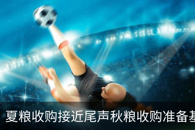 夏粮收购接近尾声秋粮收购准备基本就绪