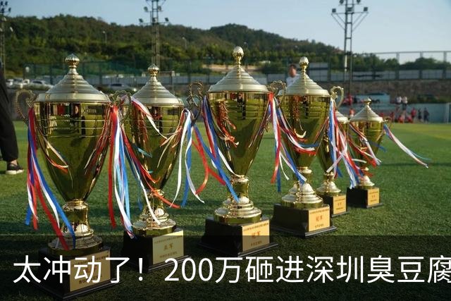 太冲动了！200万砸进深圳臭豆腐火锅：450平大店日营收仅302元，每日亏6900，95后女孩哭诉创业遭滑铁卢