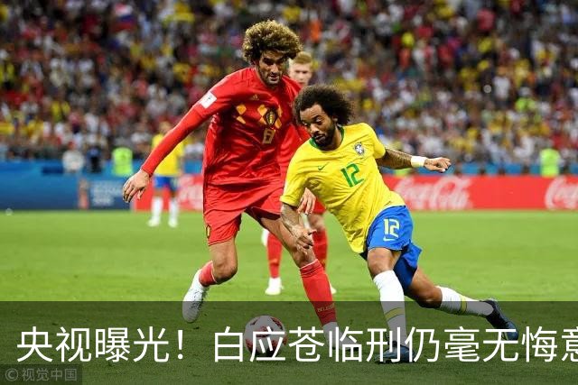 央视曝光！白应苍临刑仍毫无悔意，蛇蝎美人白应兰还能藏多久？