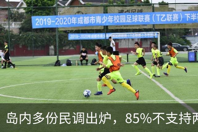 岛内多份民调出炉，85%不支持两岸统一？新党副主席交底两岸统一