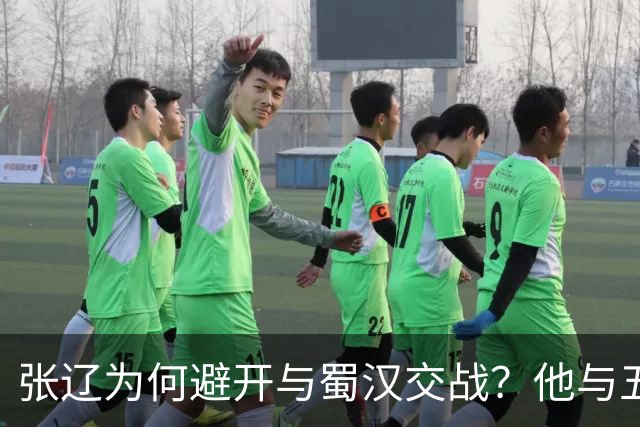 张辽为何避开与蜀汉交战？他与五虎大将单挑，能赢几人？
