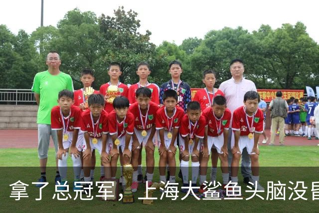 拿了总冠军，上海大鲨鱼头脑没昏