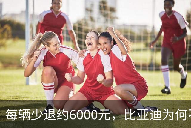 每辆少退约6000元，比亚迪为何不涨价？