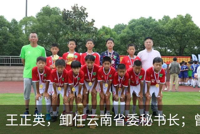 王正英，卸任云南省委秘书长；曾任云南省发改委副主任，云南省能源局局长等职