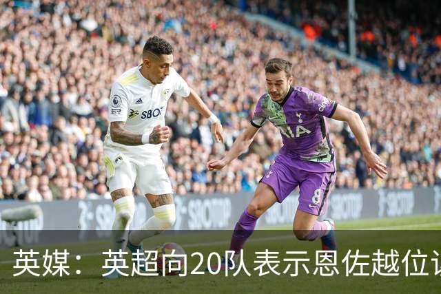 英媒：英超向20队表示恩佐越位误判是重大失误，将进行全面审查