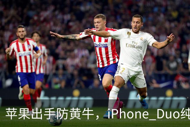 苹果出手防黄牛，iPhone Duo纯eSIM 劝退主力机用户