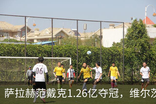 萨拉赫范戴克1.26亿夺冠，维尔茨身价1.4亿为何沉沦？