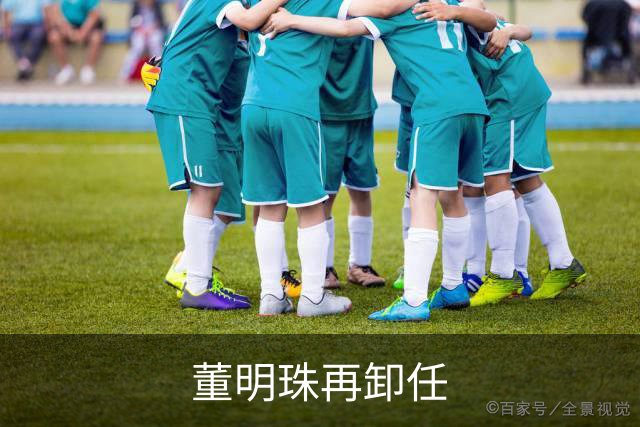 董明珠再卸任