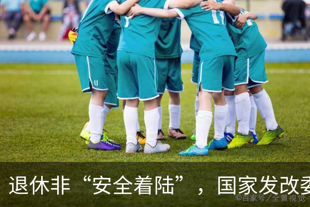 退休非“安全着陆”，国家发改委原副司长赵鹏高主动投案