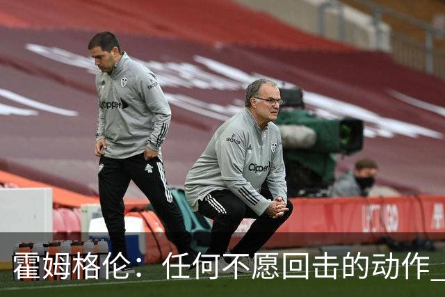 霍姆格伦：任何不愿回击的动作 都会成为对方的优势