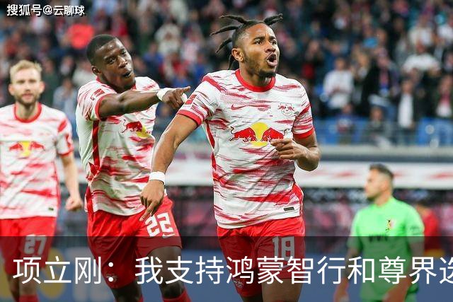 项立刚：我支持鸿蒙智行和尊界选择硬刚