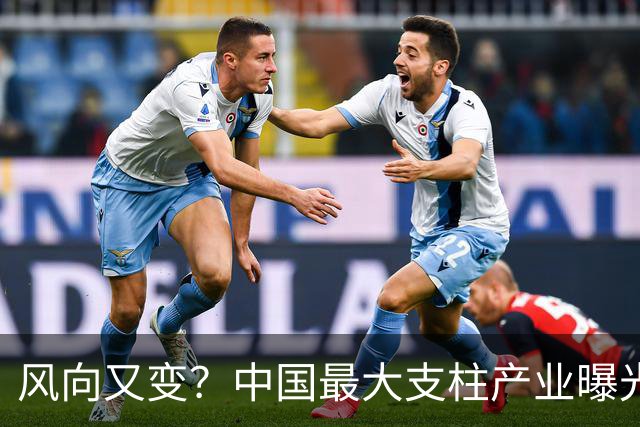 风向又变？中国最大支柱产业曝光，或取代房地产，将来或超越美国