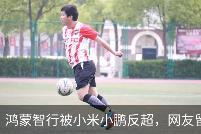 鸿蒙智行被小米小鹏反超，网友留言不忍直视