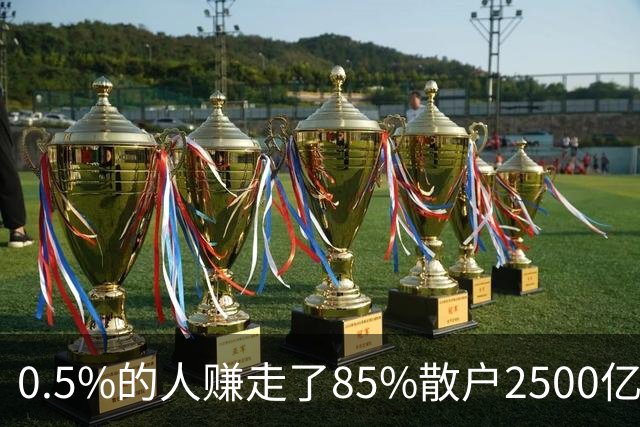 0.5%的人赚走了85%散户2500亿——泡沫与崩溃中的财富再分配