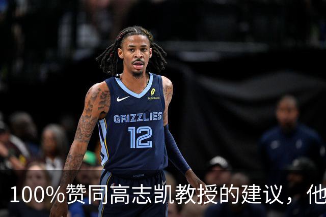 100%赞同高志凯教授的建议，他提议：大陆应该在台湾招募有志青年