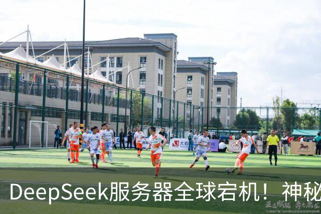 DeepSeek服务器全球宕机！神秘Harness账号同时现身
